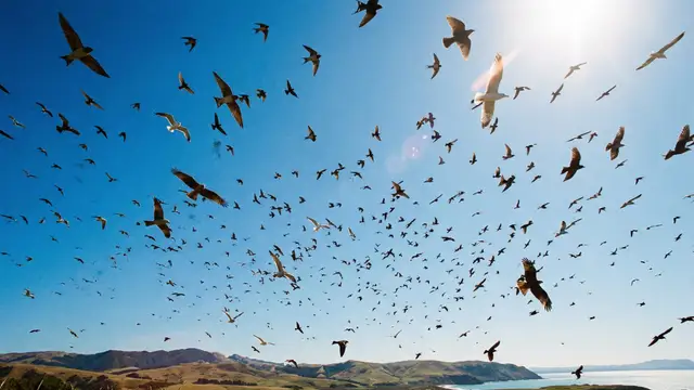 What Happens When We Stop Poisoning the Sky