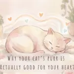 Why Your Cat’s Purr Is Actually Good for Your Heart