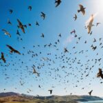 What Happens When We Stop Poisoning the Sky